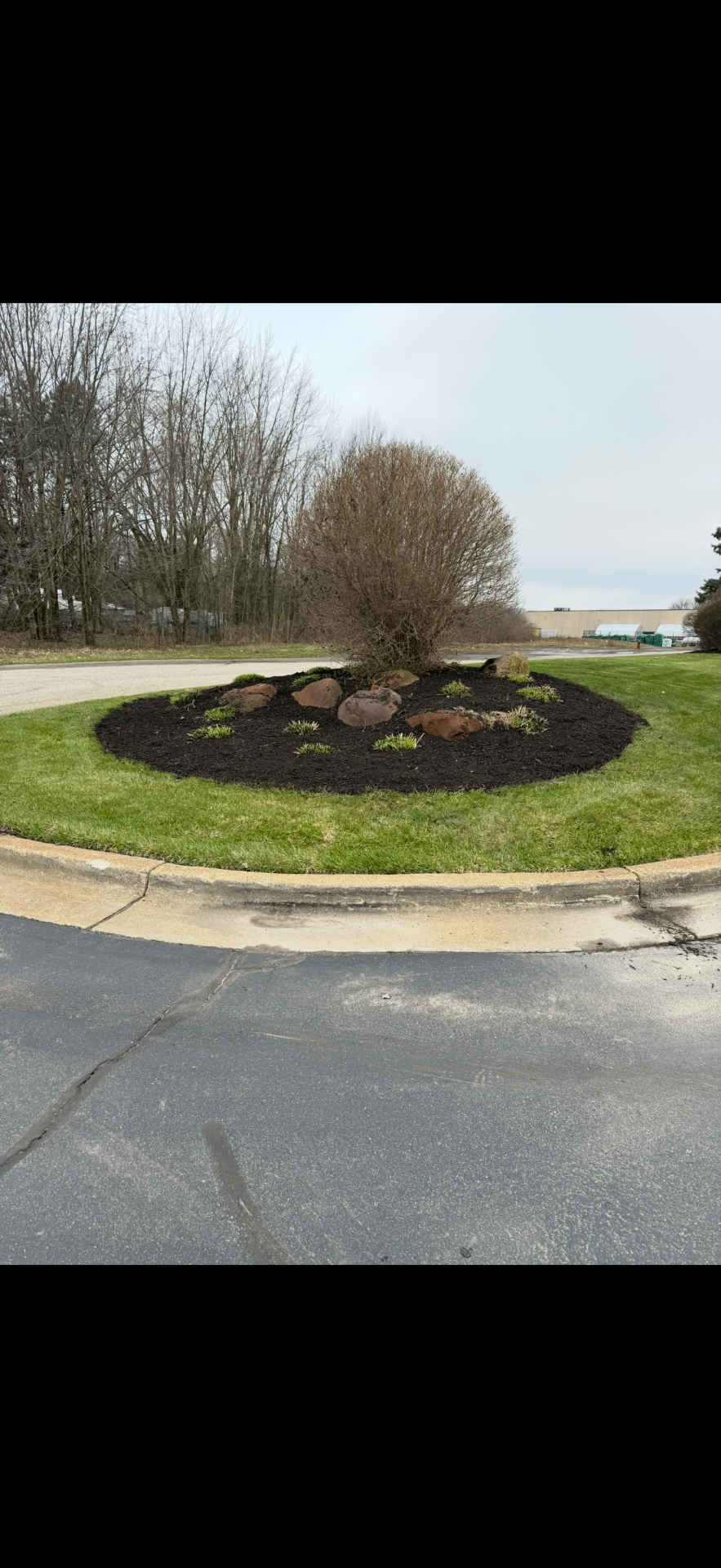Island Bed Renovation — Planting project by Crown Scapes in West Michigan