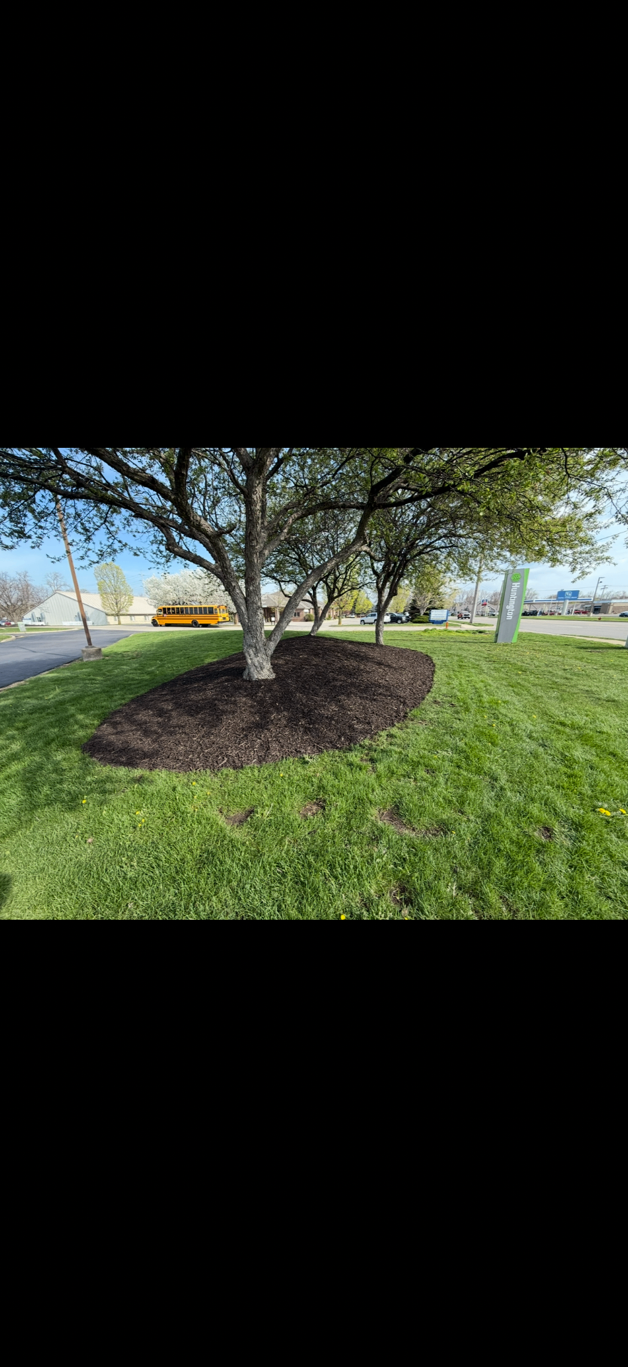 Commercial Tree Bed Cleanup — Mulching project by Crown Scapes in West Michigan