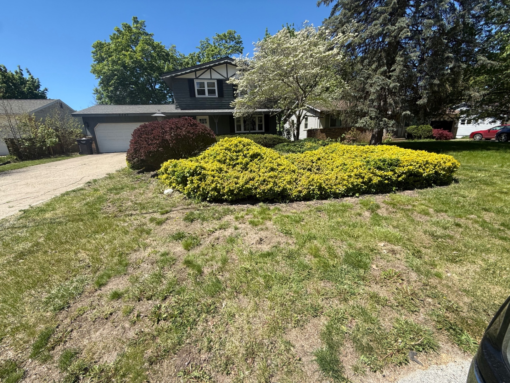 Front Shrub Reshaping — Bush Trimming project by Crown Scapes in West Michigan